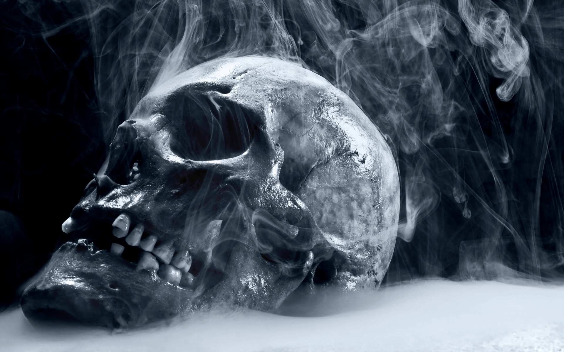Scary Frozen Skull  Wallpapers  HD  Desktop and Mobile 