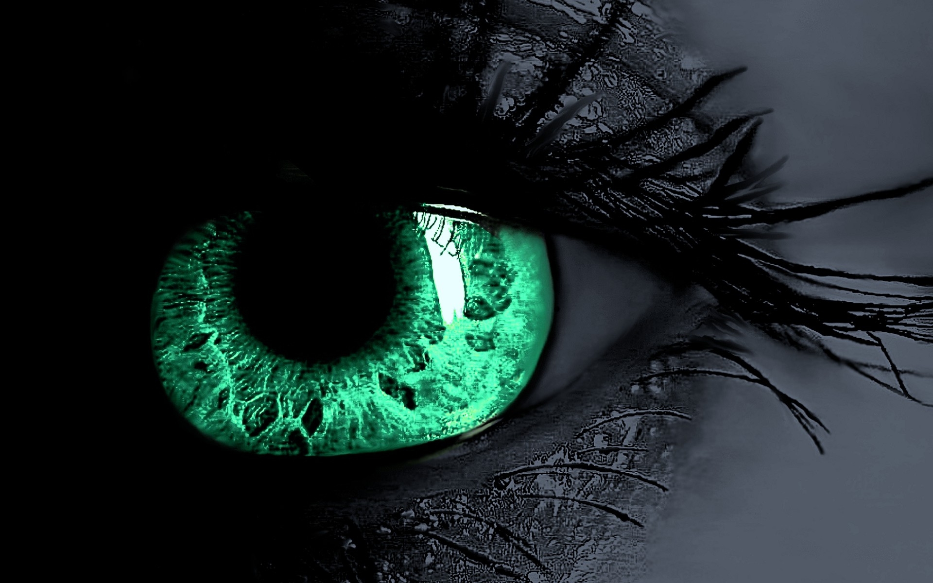 Selective Coloring Eyes Wallpapers HD / Desktop and Mobile Backgrounds