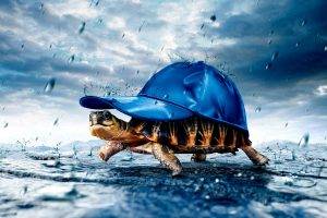 Tortoise Baseball Caps Cover Rain