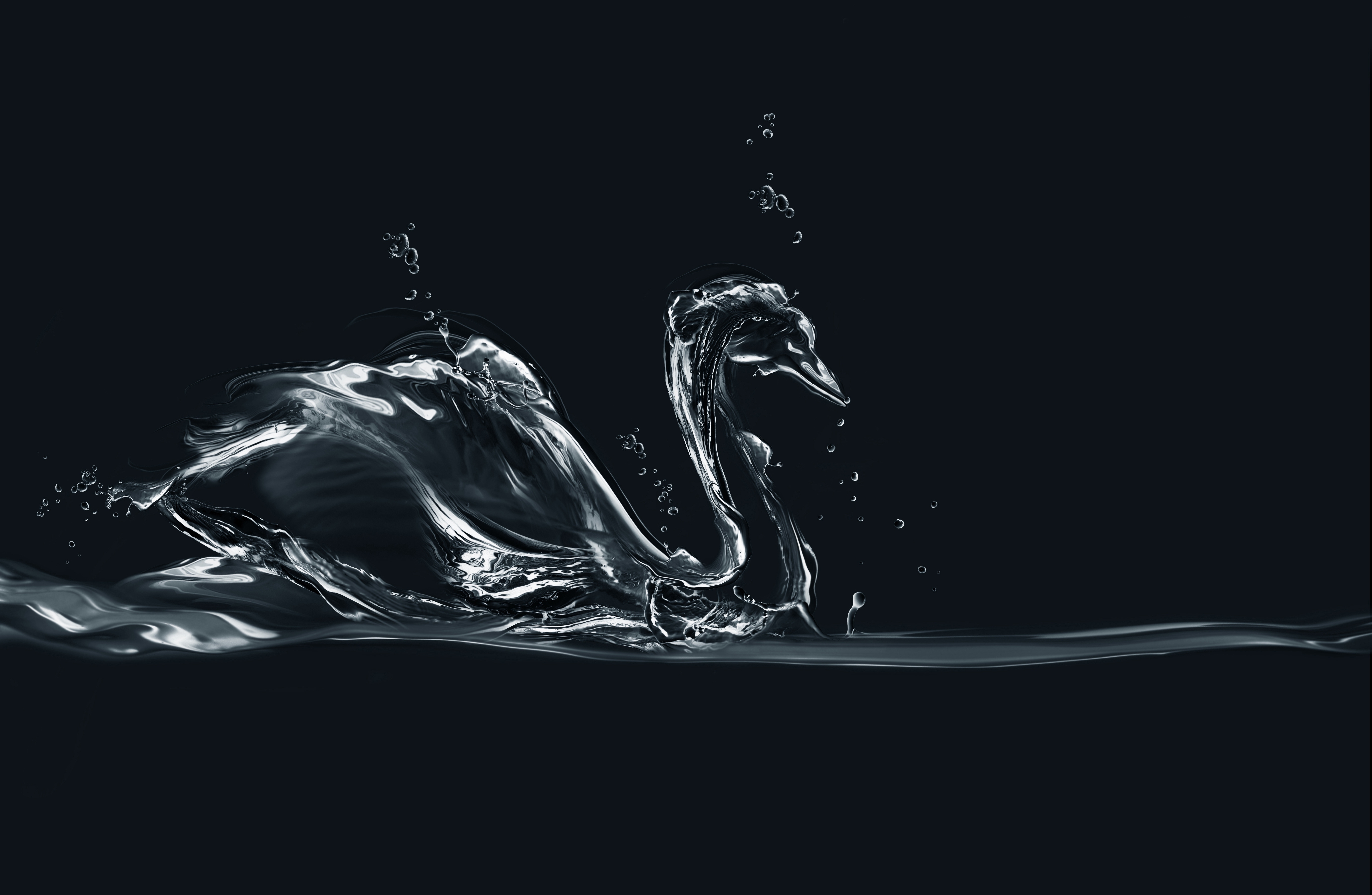 Transparent Swans Water Animation Wallpaper