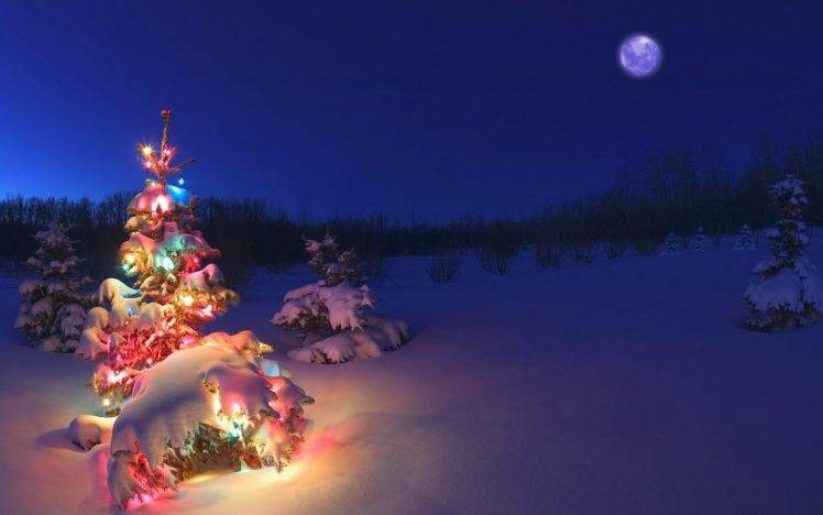 Winter Christmas Tree HD Wallpaper Desktop Background