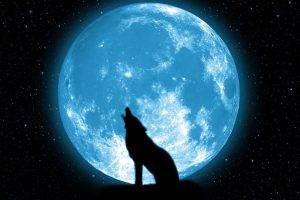 wolf howling on the moon