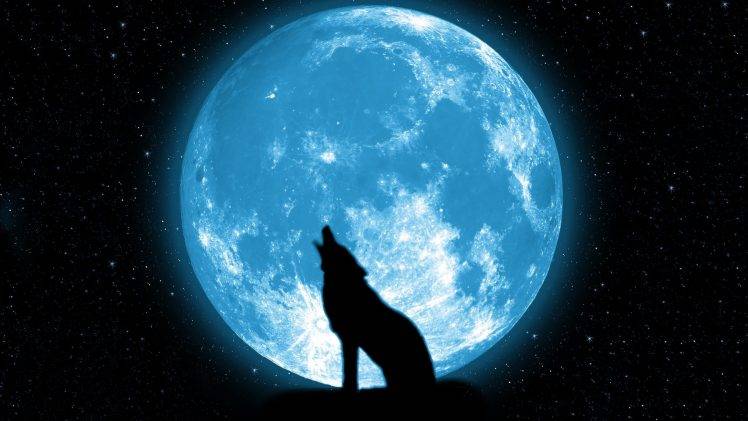 wolf howling on the moon HD Wallpaper Desktop Background