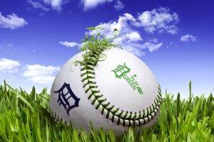 Fantasy Baseball Sport 3D Free Download