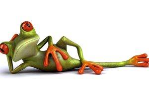 Frog relax Funny