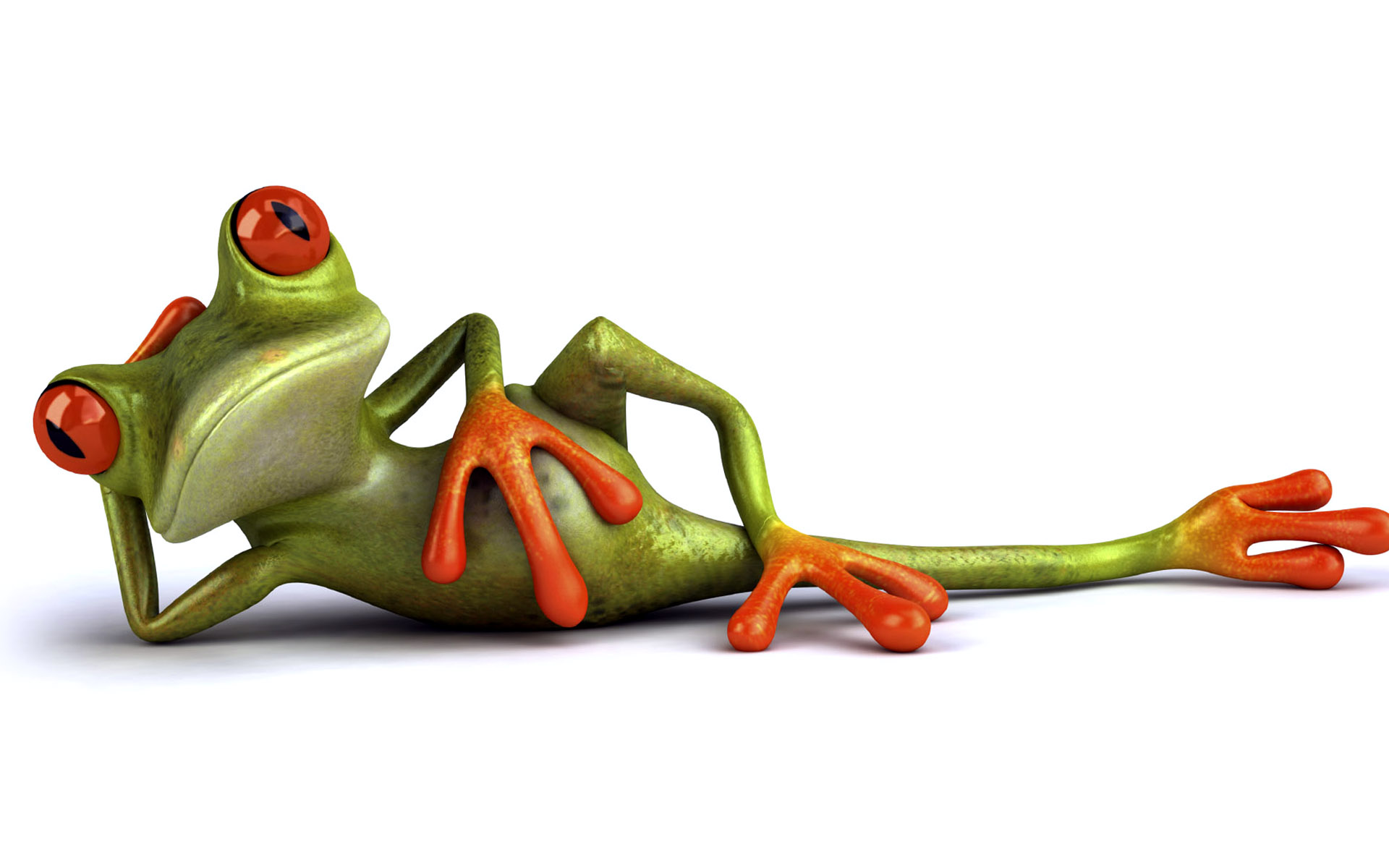 Frog relax Funny Wallpaper
