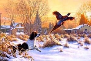 Funny Flying Dog And Bird