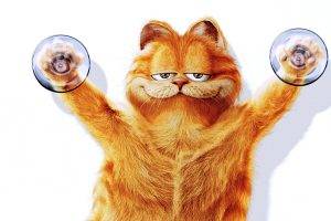 Funny Garfield