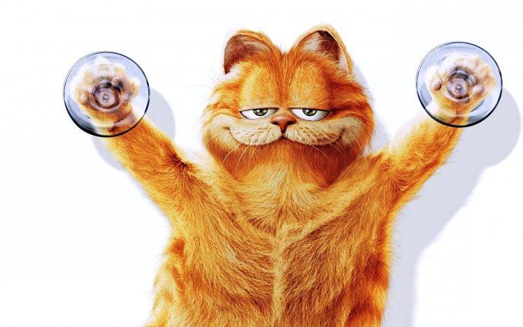 Funny Garfield HD Wallpaper Desktop Background