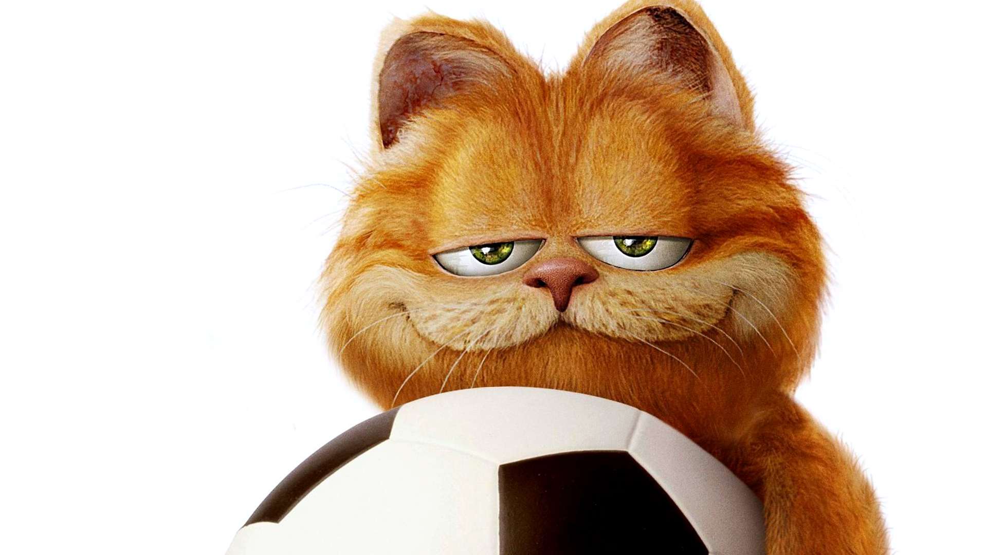 Funny Garfield Desktop Wallpaper