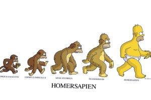 Funny Human Evolution Simpson
