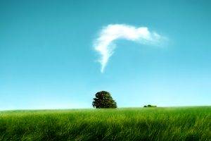 Funny Tree Cloud Photo