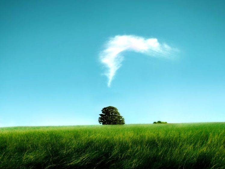 Funny Tree Cloud Photo HD Wallpaper Desktop Background