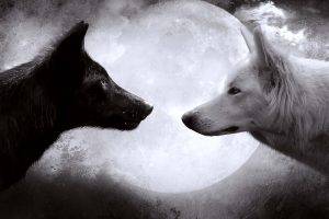 Black White Love Dog Moon