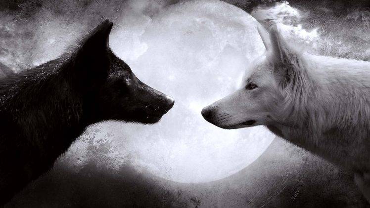 Black White Love Dog Moon HD Wallpaper Desktop Background