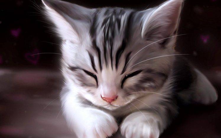 Cute Cats Sleep HD Wallpaper Desktop Background