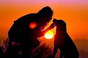 Girl And Dog Kiss Sunset
