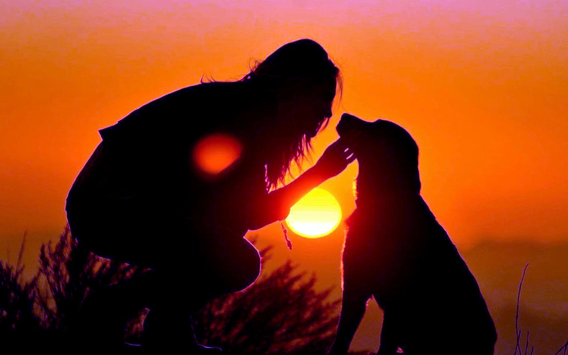 Girl And Dog Kiss Sunset Wallpaper