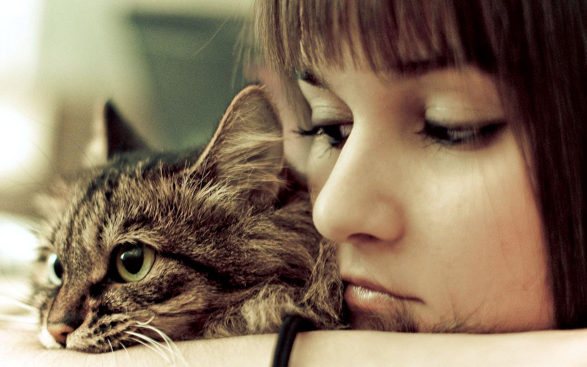 Girl With Cat Pet Love Wallpaper