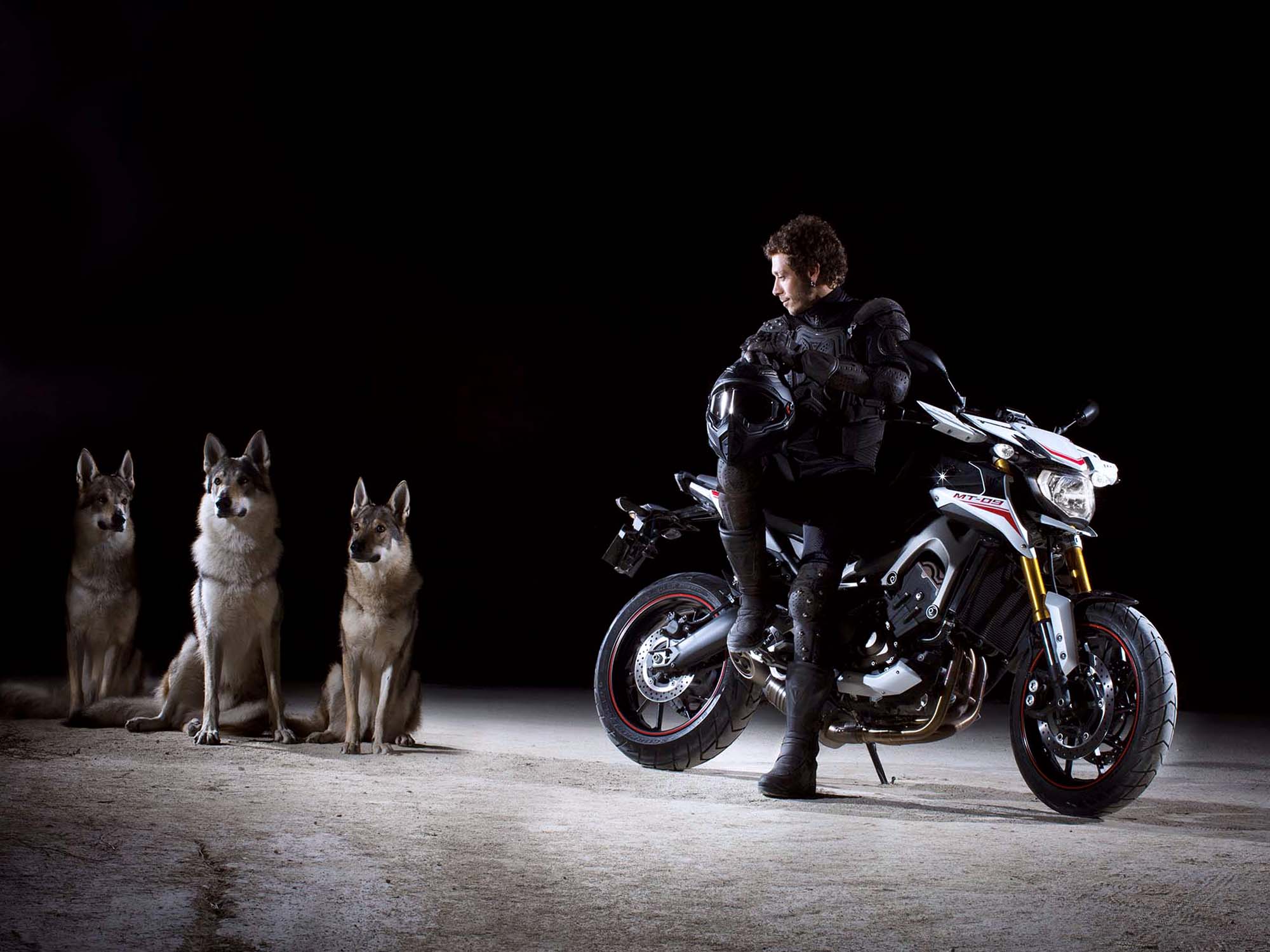 Valentino Rossi And Dog Ads Best Wallpaper
