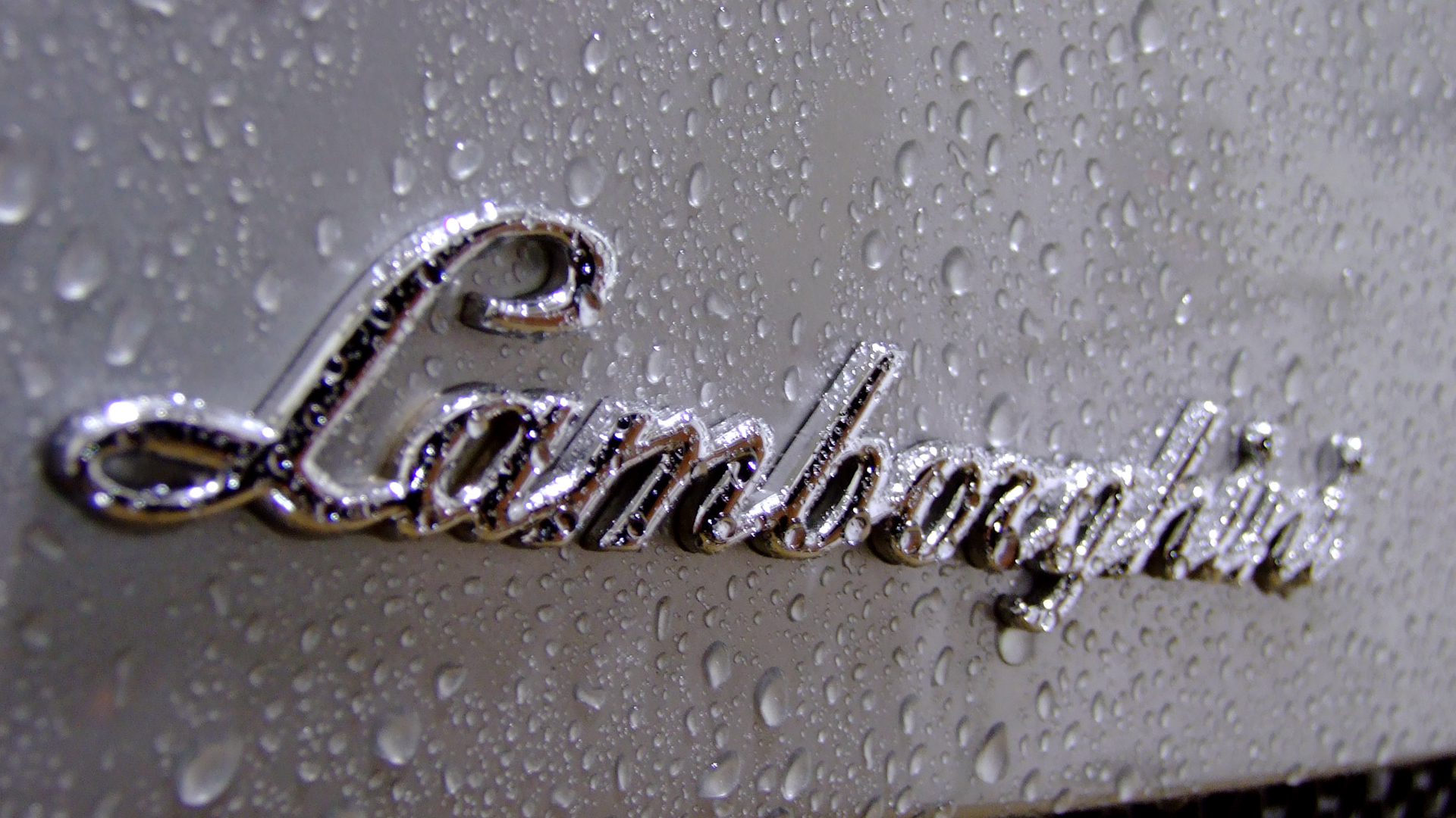 Lamborghini Logo Full Wallpaper