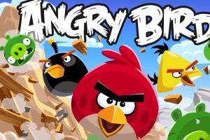 Angry Bird Full