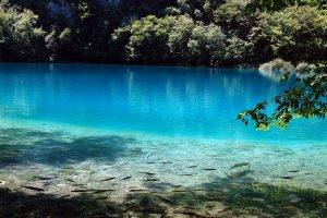 Amazing Lake Nature