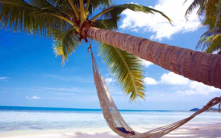 Beach Hammock In Under Palm Wallpapers HD / Desktop and Mobile Backgrounds
