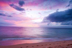 Beach Sea Purple Landscape