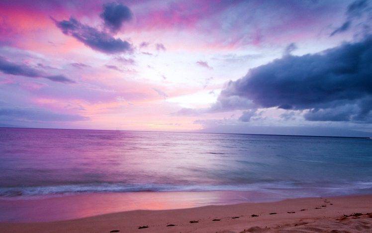 Beach Sea Purple Landscape HD Wallpaper Desktop Background