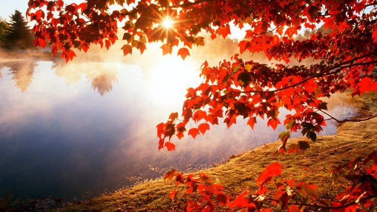 Beautiful Autumn Lake Landscape HD Wallpaper Desktop Background