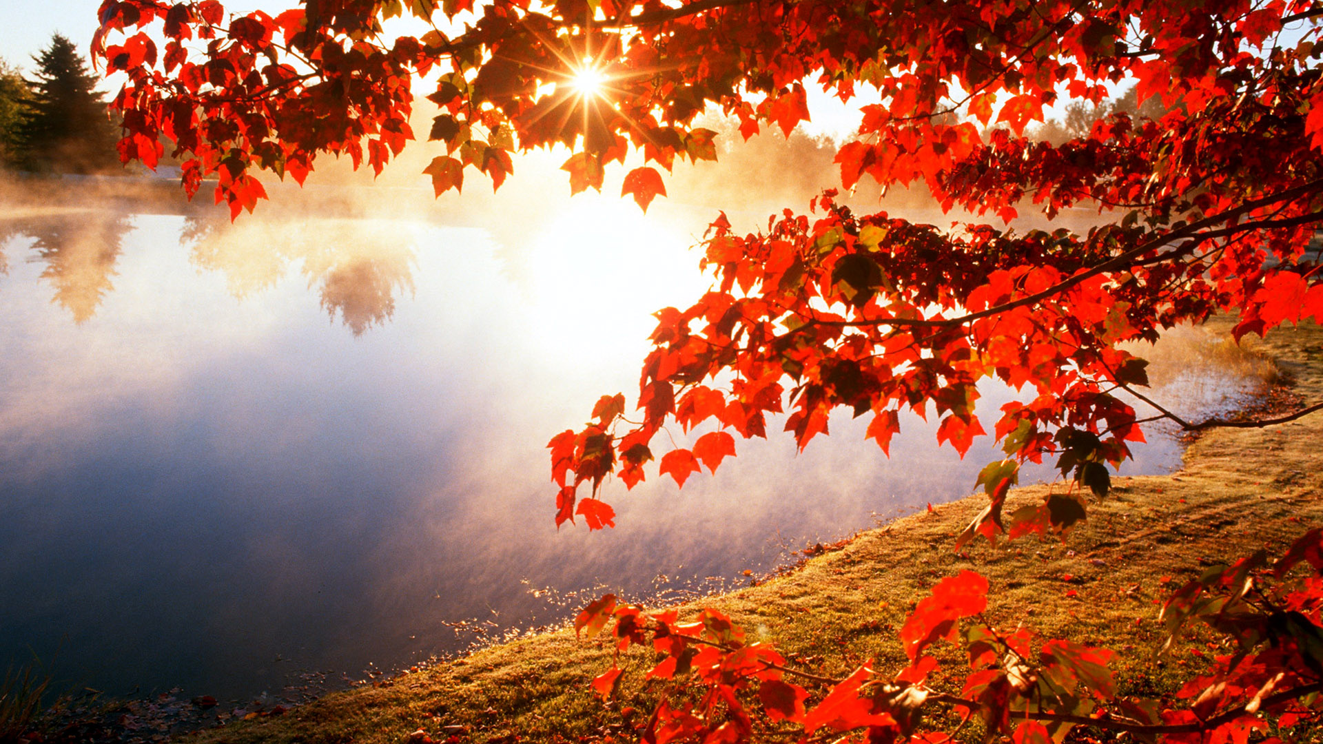 Beautiful Autumn Lake Landscape Wallpaper