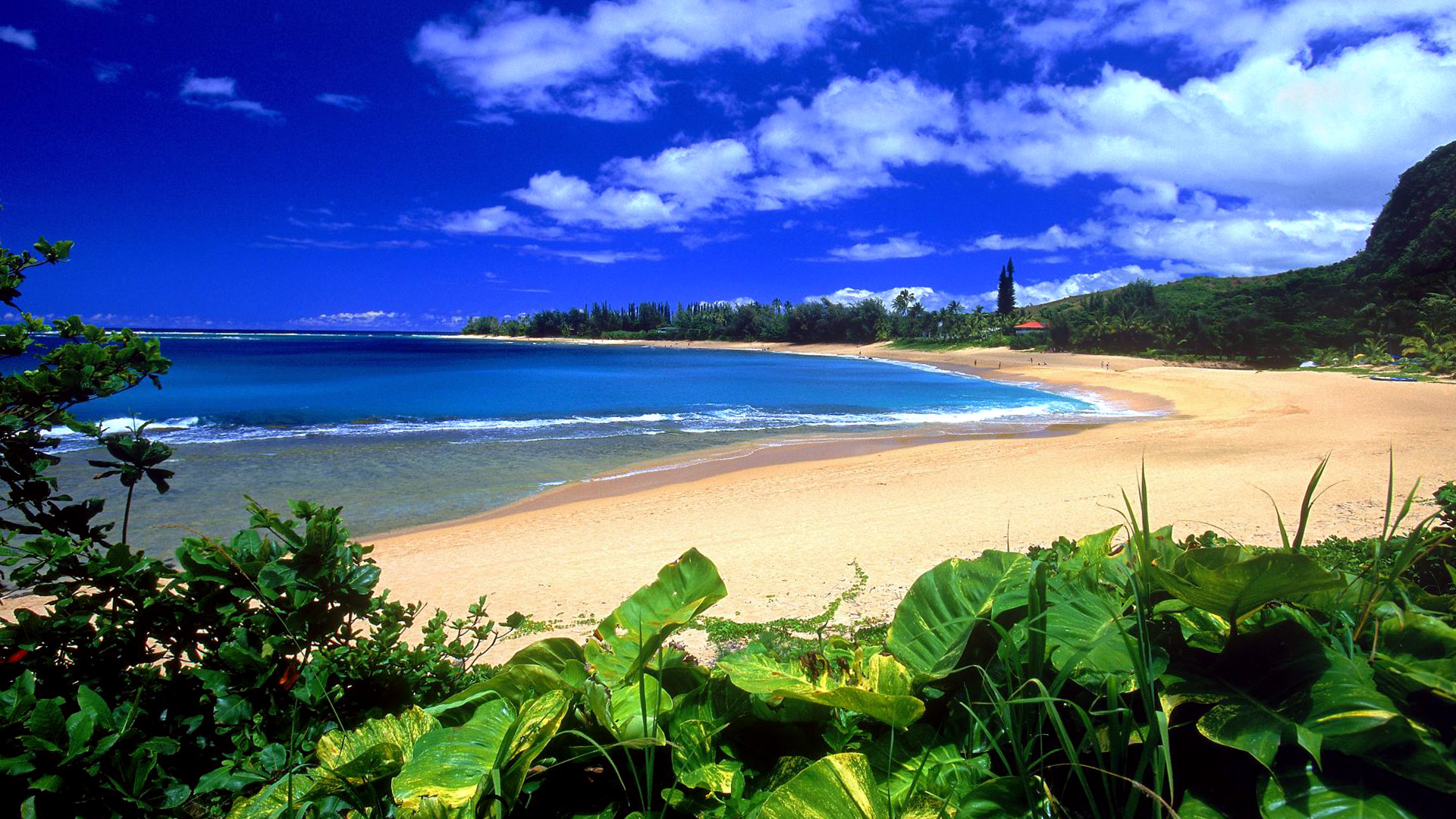 Beautiful Beach And Nature Desktop Wallpaper