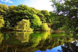Beautiful Green Forest And Lake