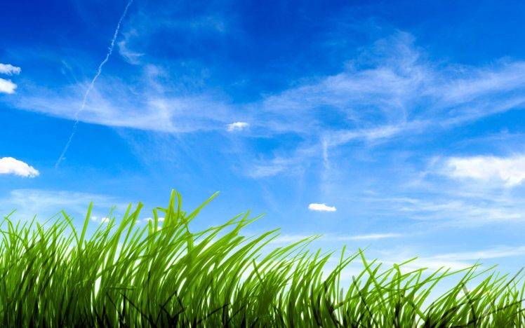 Best Green Nature Landscape HD Wallpaper Desktop Background