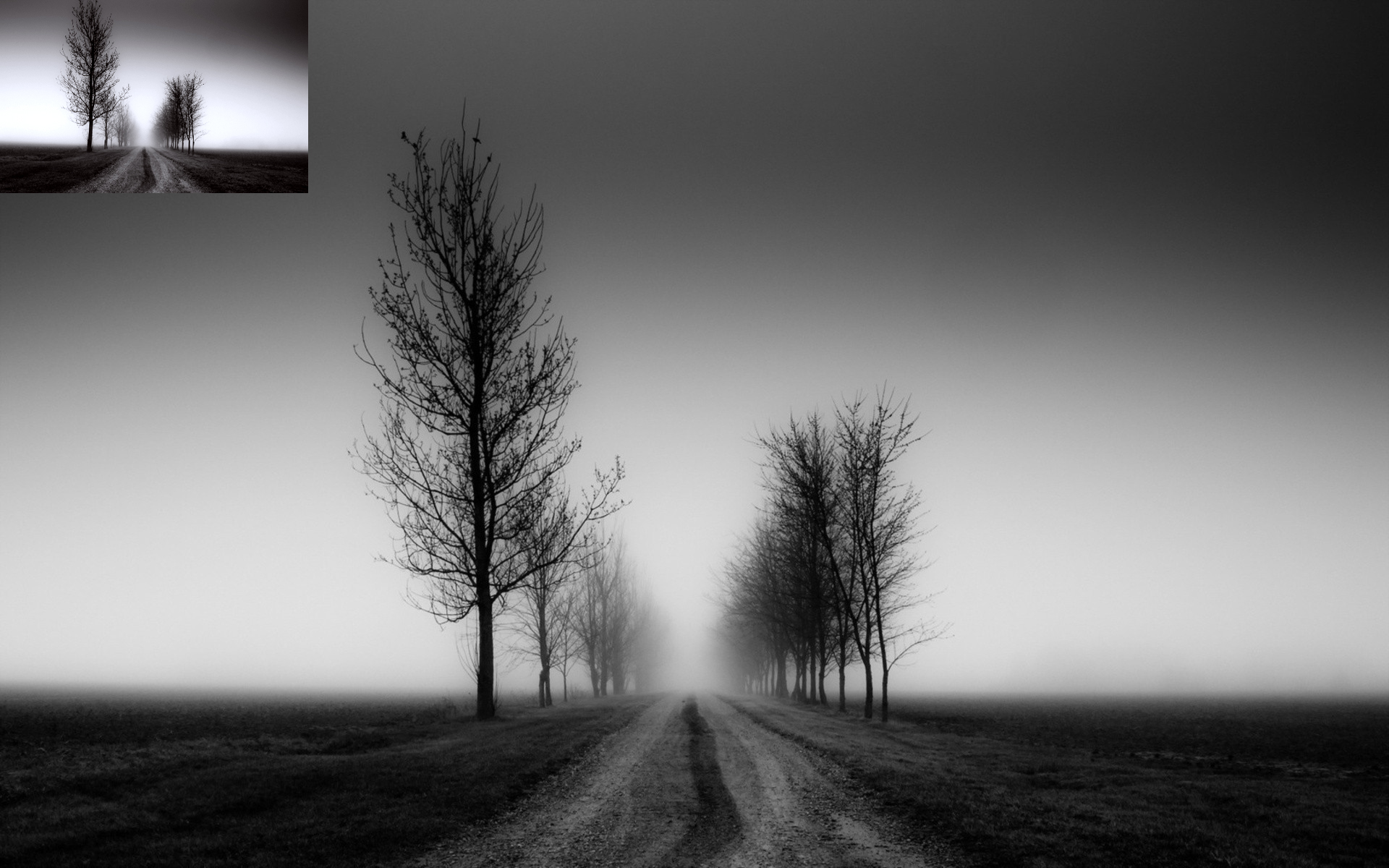 Black White Landscape Fog Wallpapers HD / Desktop and ...