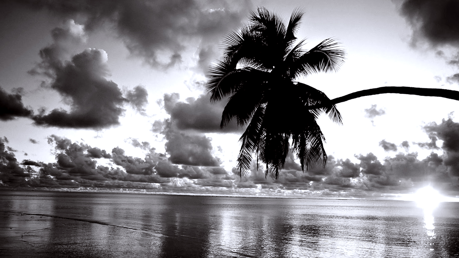 Black White Sunset Beach Wallpapers HD / Desktop and ...