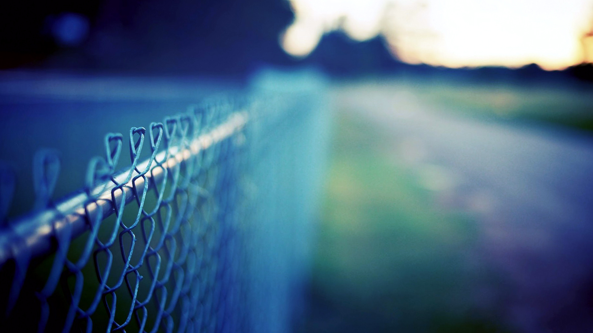 Blue Fence Macro Landscape Wallpaper