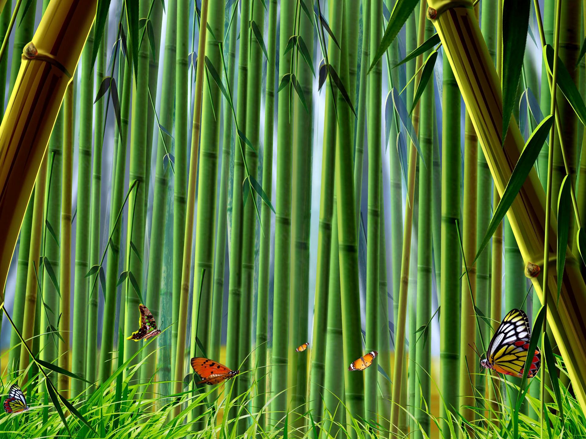 Butterfly On Bamboo Landscape Best Wallpaper