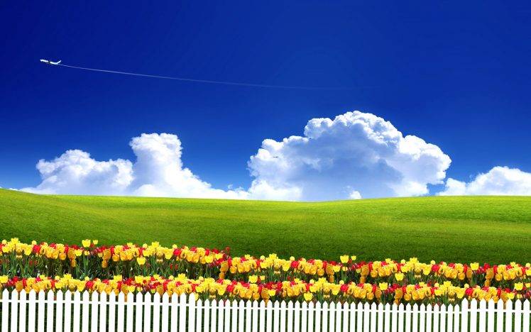 Cool Pasture Fence Landscape HD Wallpaper Desktop Background