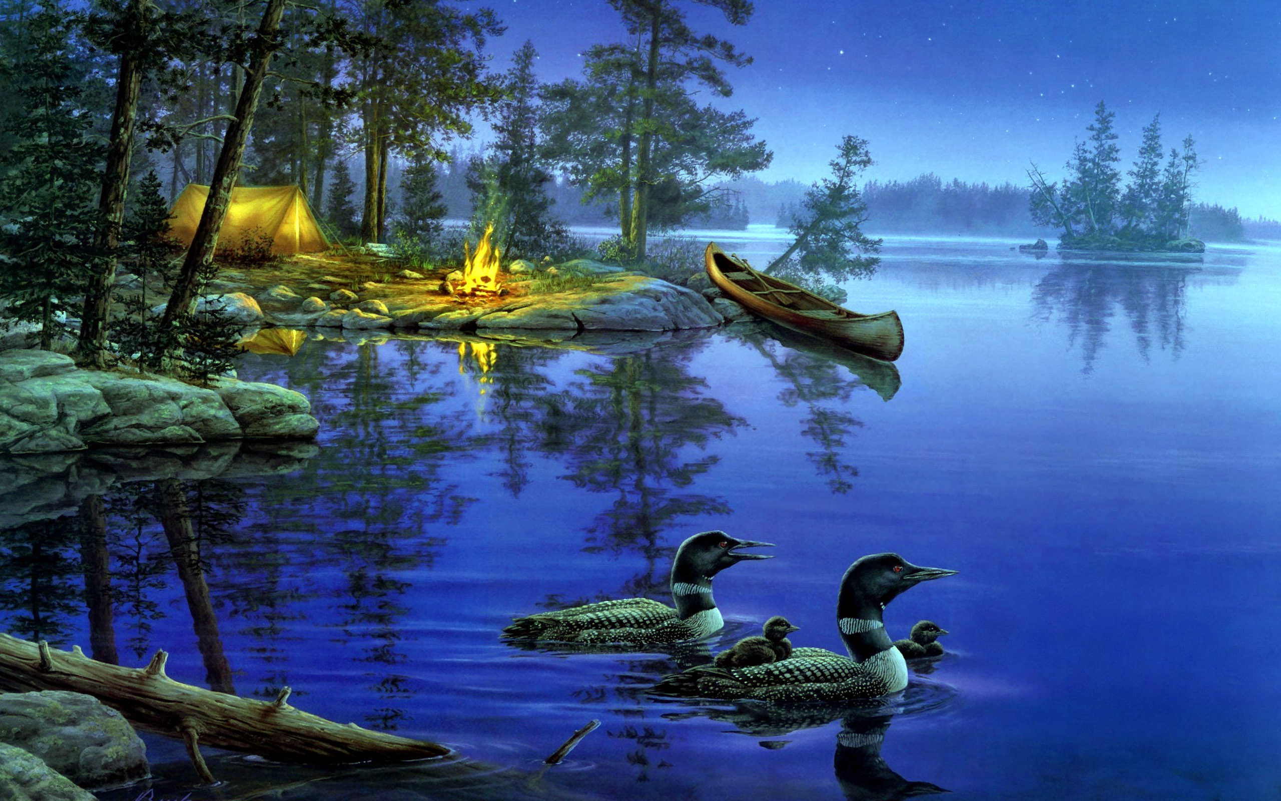 Ducks In Lake at Night Wallpaper