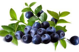 Fruit Blueberry Macro