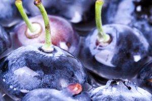 Fruit Blueberry Macro Desktop