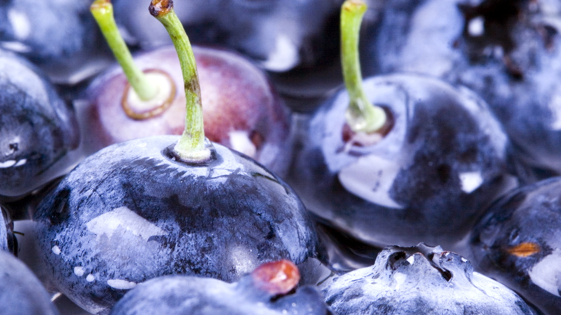 Fruit Blueberry Macro Desktop Wallpaper