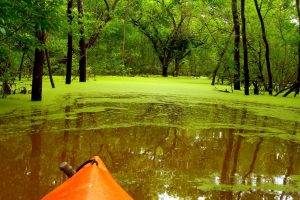 Green Lake Nature