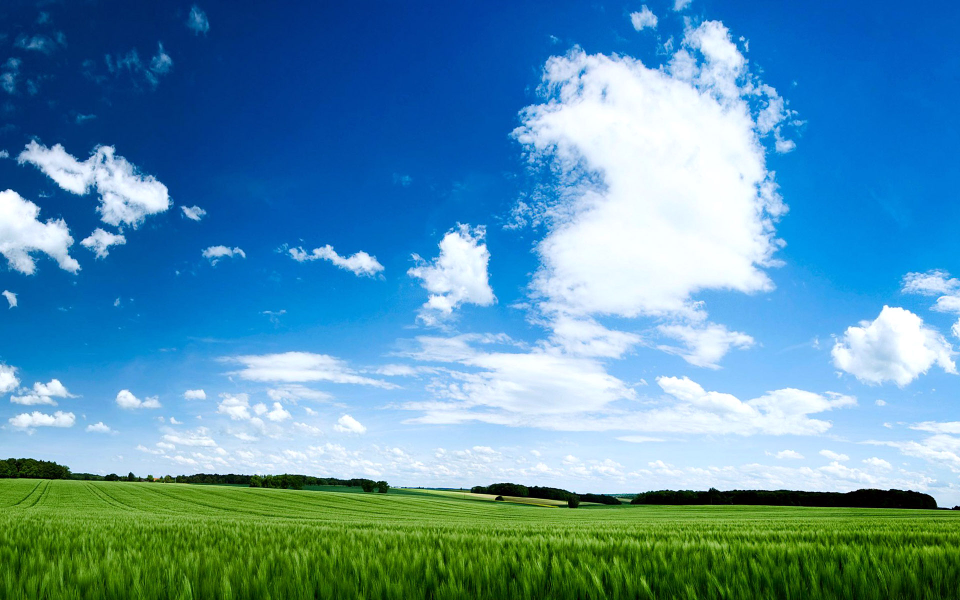 Green Nature Landscape Wallpaper