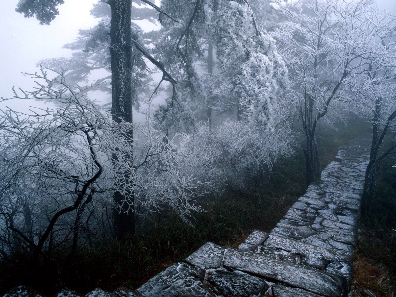 Ice Ladder Landscape Wallaper Wallpaper