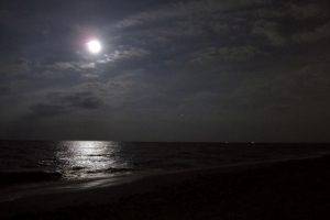 Moon In Beach Night Android