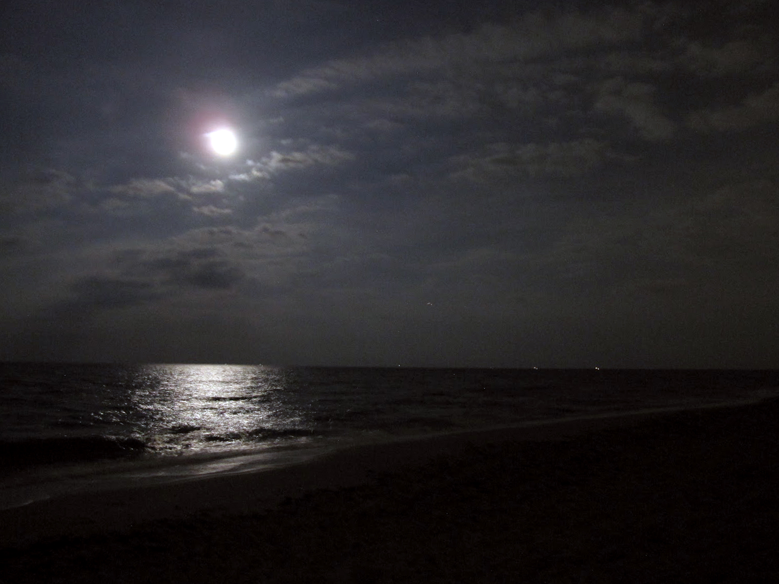 Moon In Beach Night Android Wallpaper