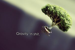 Nature Quotes Gravity